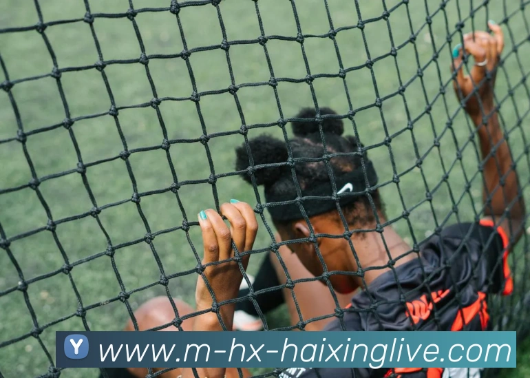 海星体育直播APP 封面图